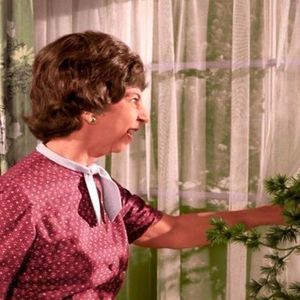 Meet your Posher, Debbie